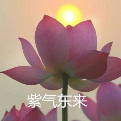 狂斩伏魔手游下载